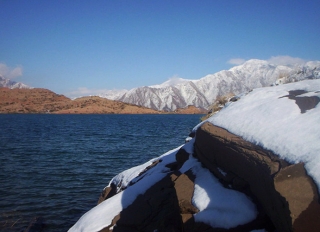 Hatcheria macraei Hatcheria macraei