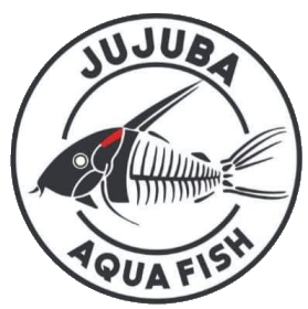 Jujuba Aqua Fish