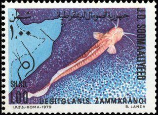 Uegitglanis zammaranoi