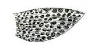 Hypostomus niceforoi